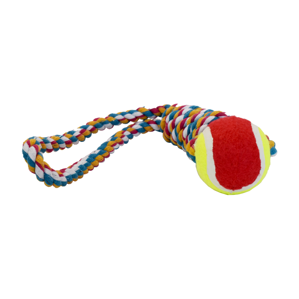 Cuerda con pelota